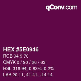 Color code: HEX #5E0946 | qconv.com
