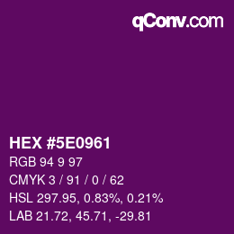 Color code: HEX #5E0961 | qconv.com