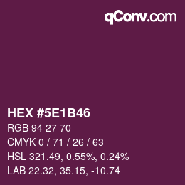 Color code: HEX #5E1B46 | qconv.com