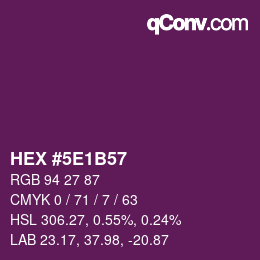 Color code: HEX #5E1B57 | qconv.com