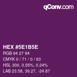 Color code: HEX #5E1B5E | qconv.com