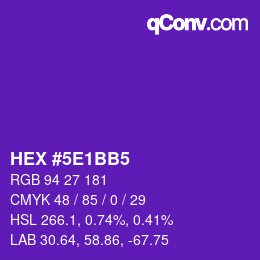 Color code: HEX #5E1BB5 | qconv.com