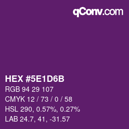 Color code: HEX #5E1D6B | qconv.com