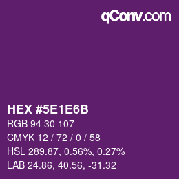 Code couleur: HEX #5E1E6B | qconv.com