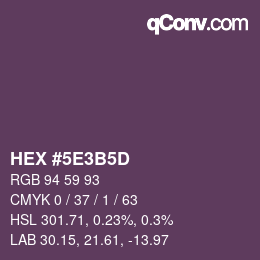 Color code: HEX #5E3B5D | qconv.com