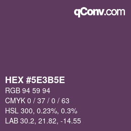 Código de color: HEX #5E3B5E | qconv.com