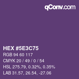 Code couleur: HEX #5E3C75 | qconv.com