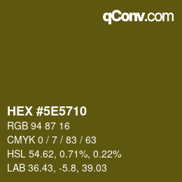 Color code: HEX #5E5710 | qconv.com