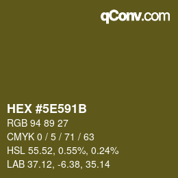 Color code: HEX #5E591B | qconv.com