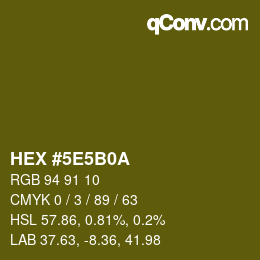 Color code: HEX #5E5B0A | qconv.com