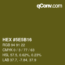 Color code: HEX #5E5B16 | qconv.com