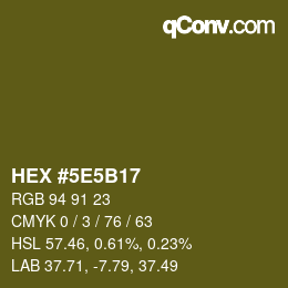 Color code: HEX #5E5B17 | qconv.com