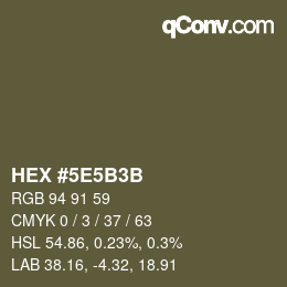 Color code: HEX #5E5B3B | qconv.com