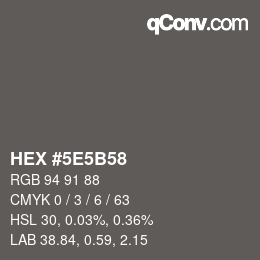 Farbcode: HEX #5E5B58 | qconv.com