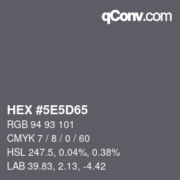 Color code: HEX #5E5D65 | qconv.com