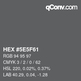 Color code: HEX #5E5F61 | qconv.com