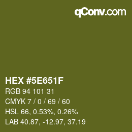 Color code: HEX #5E651F | qconv.com