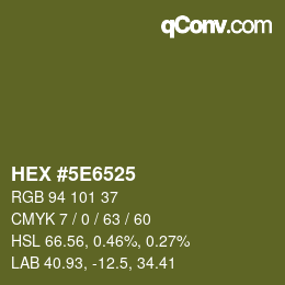 Color code: HEX #5E6525 | qconv.com