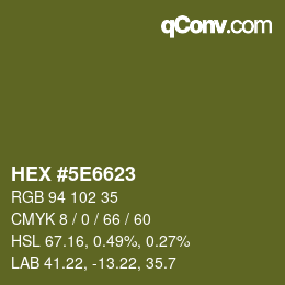 Color code: HEX #5E6623 | qconv.com