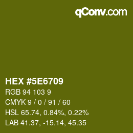 Color code: HEX #5E6709 | qconv.com