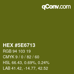 Color code: HEX #5E6713 | qconv.com