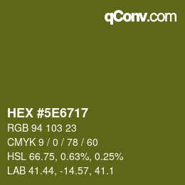 Color code: HEX #5E6717 | qconv.com