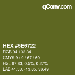 Color code: HEX #5E6722 | qconv.com