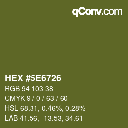 Color code: HEX #5E6726 | qconv.com