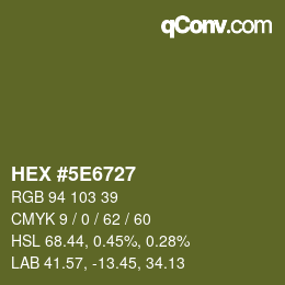 Color code: HEX #5E6727 | qconv.com