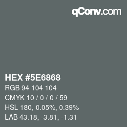 Color code: HEX #5E6868 | qconv.com