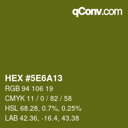 Color code: HEX #5E6A13 | qconv.com