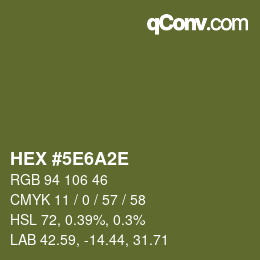 Color code: HEX #5E6A2E | qconv.com