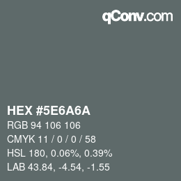 Color code: HEX #5E6A6A | qconv.com