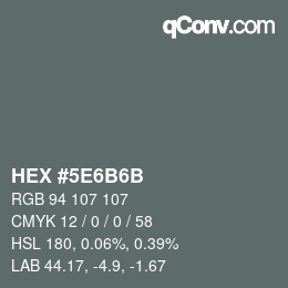 Code couleur: HEX #5E6B6B | qconv.com