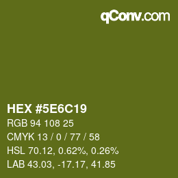 Color code: HEX #5E6C19 | qconv.com