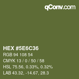 Color code: HEX #5E6C36 | qconv.com