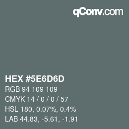 Código de color: HEX #5E6D6D | qconv.com
