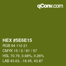 Color code: HEX #5E6E15 | qconv.com