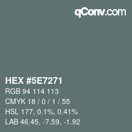 Color code: HEX #5E7271 | qconv.com