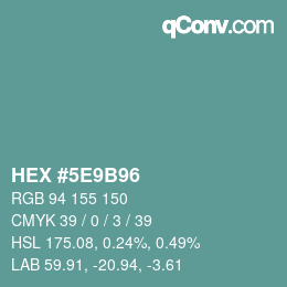 Color code: HEX #5E9B96 | qconv.com