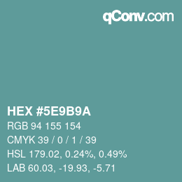 Color code: HEX #5E9B9A | qconv.com