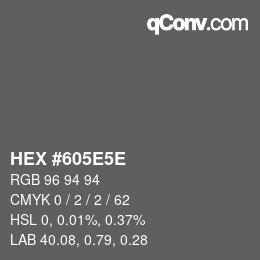 Color code: HEX #605E5E | qconv.com