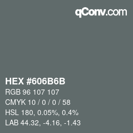 Color code: HEX #606B6B | qconv.com