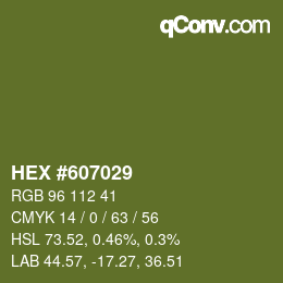 颜色代码: HEX #607029 | qconv.com