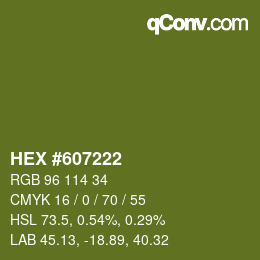 Farbcode: HEX #607222 | qconv.com