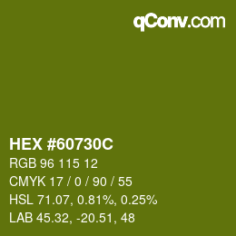 Color code: HEX #60730C | qconv.com