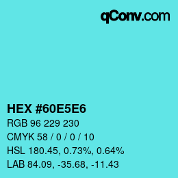 Color code: HEX #60E5E6 | qconv.com