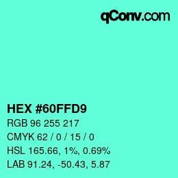 Color code: HEX #60FFD9 | qconv.com