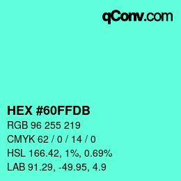 Color code: HEX #60FFDB | qconv.com