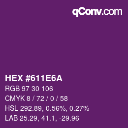 Color code: HEX #611E6A | qconv.com
